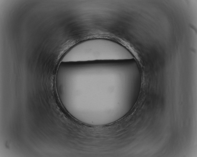 X0000092310010200709141040