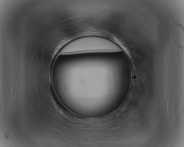 X0000092310011200709141040
