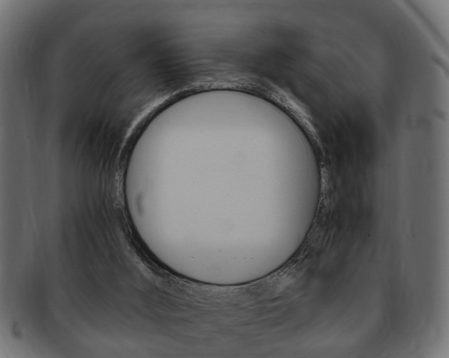 X0000092310012200709141040
