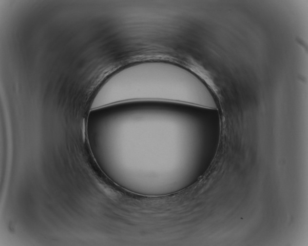 X0000092310013200709141040