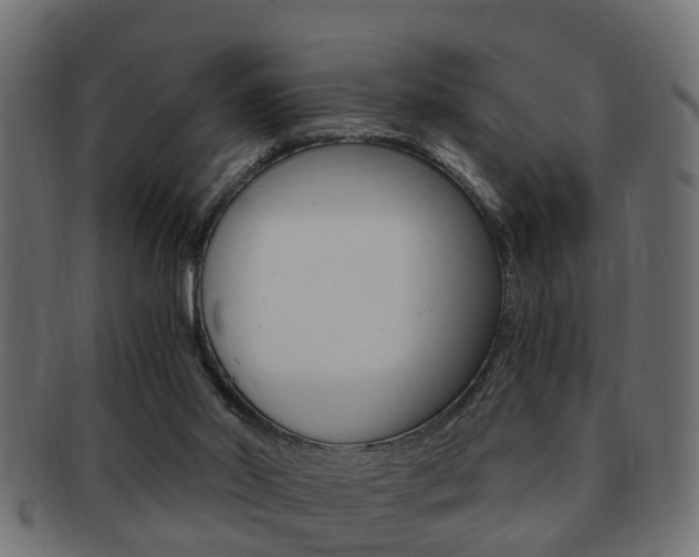 X0000092310014200709141040