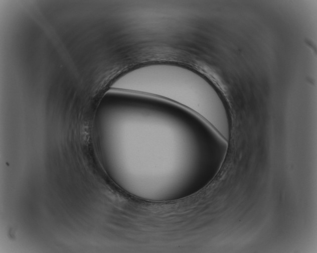 X0000092310017200709141040
