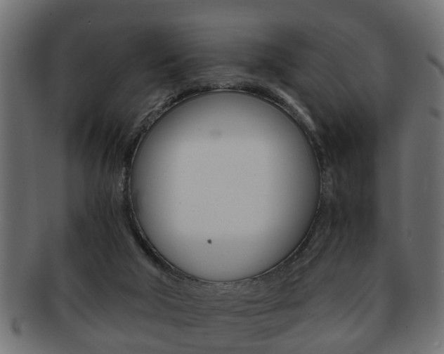 X0000092310018200709141040