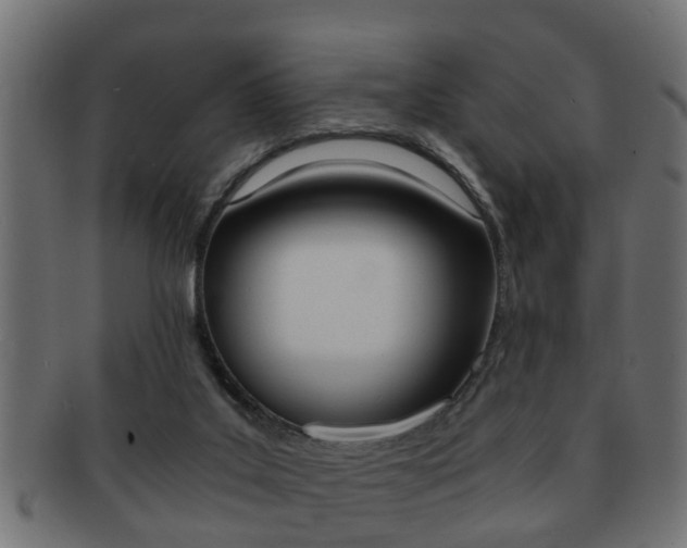 X0000092310019200709141040