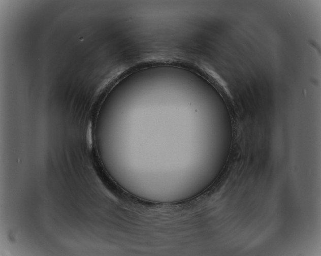 X0000092310020200709141040
