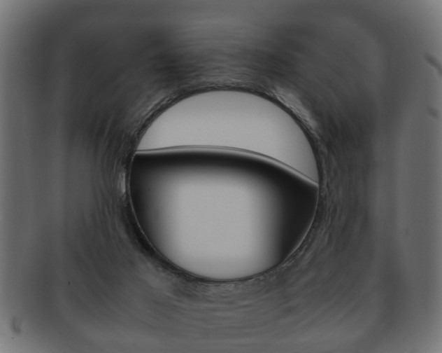 X0000092310021200709141040
