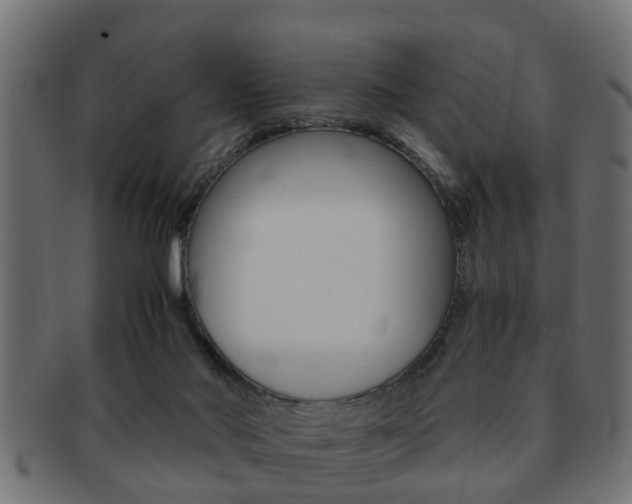 X0000092310022200709141040