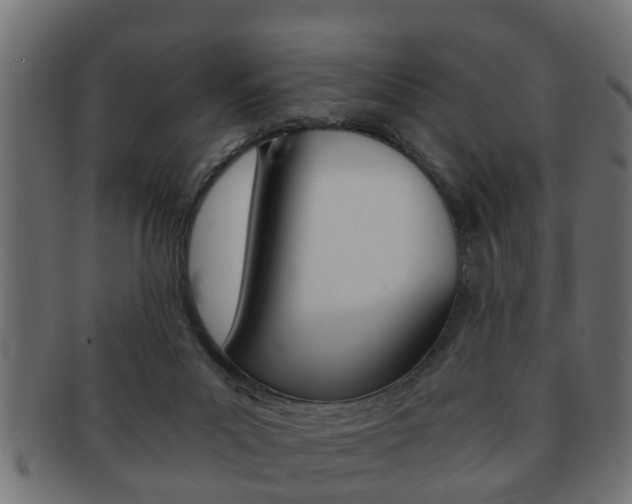 X0000092310023200709141040