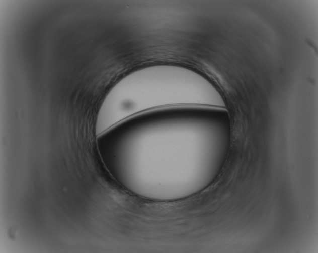 X0000092310025200709141040