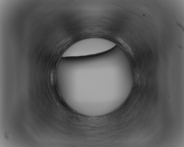 X0000092310026200709141040