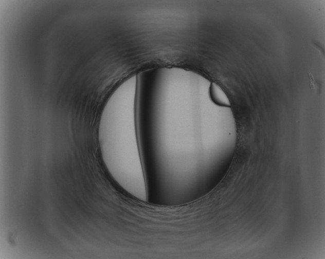 X0000092310027200709141040