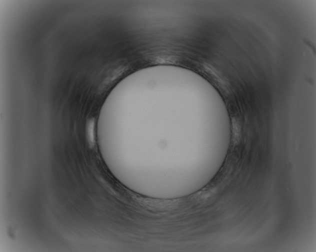 X0000092310028200709141040