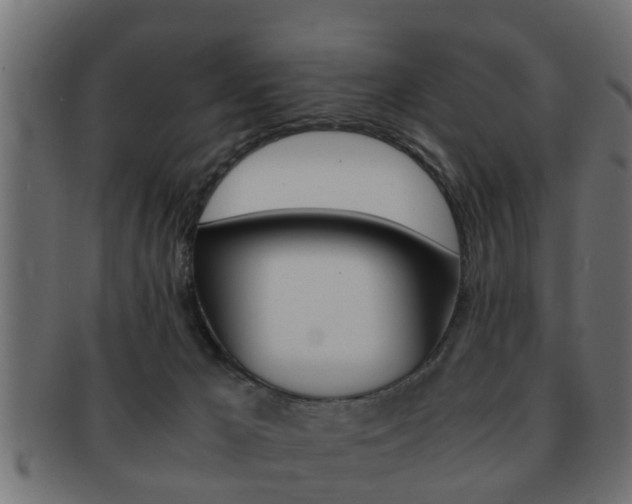 X0000092310029200709141040