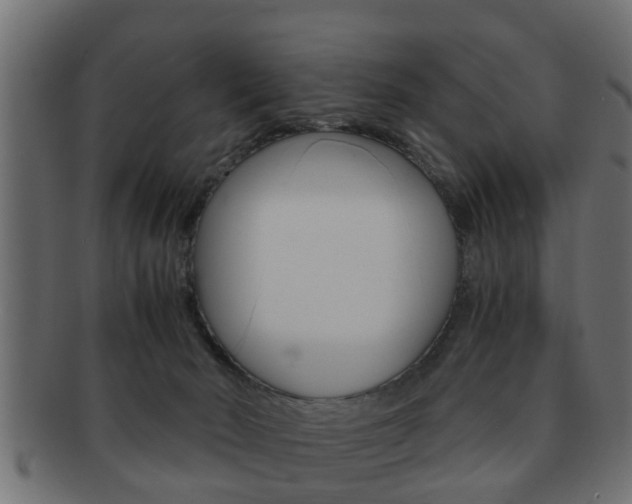 X0000092310030200709141040