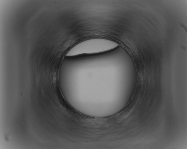 X0000092310032200709141040