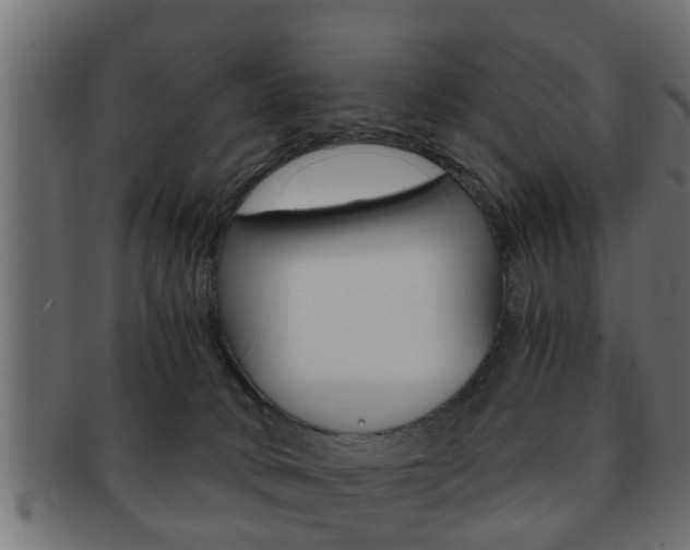 X0000092310034200709141040