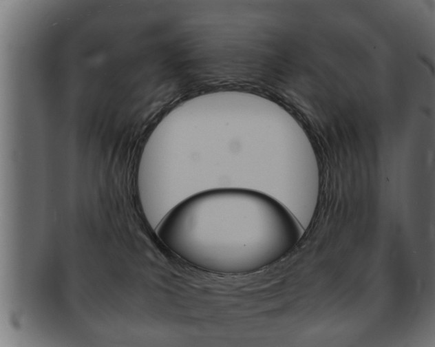 X0000092310039200709141040
