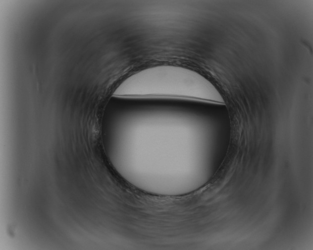 X0000092310040200709141040