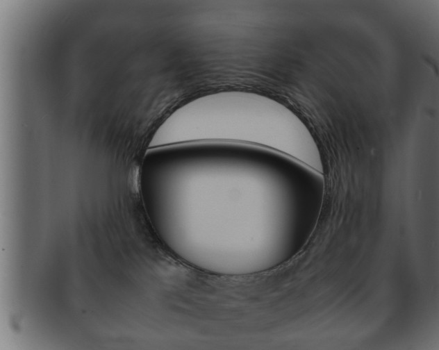X0000092310041200709141040