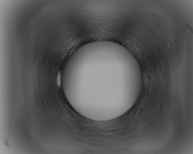 X0000092310042200709141040
