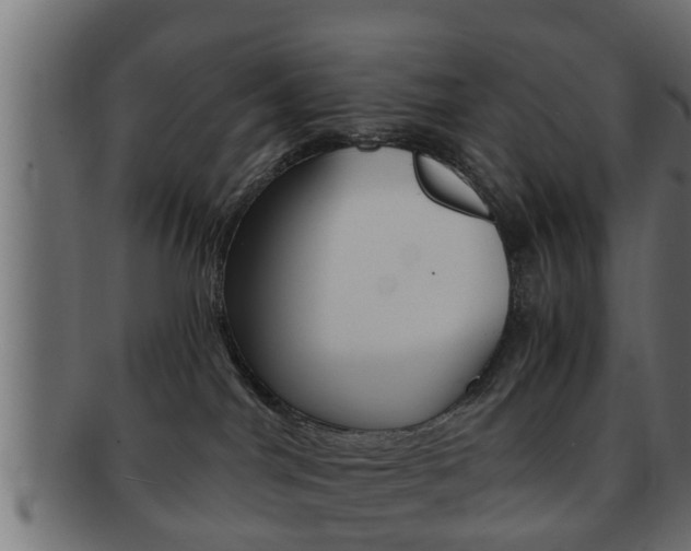 X0000092310044200709141040