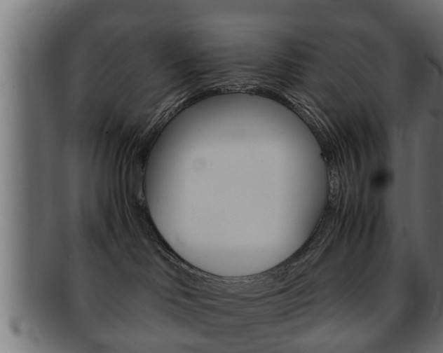 X0000092310046200709141040