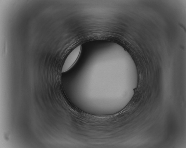 X0000092310048200709141040