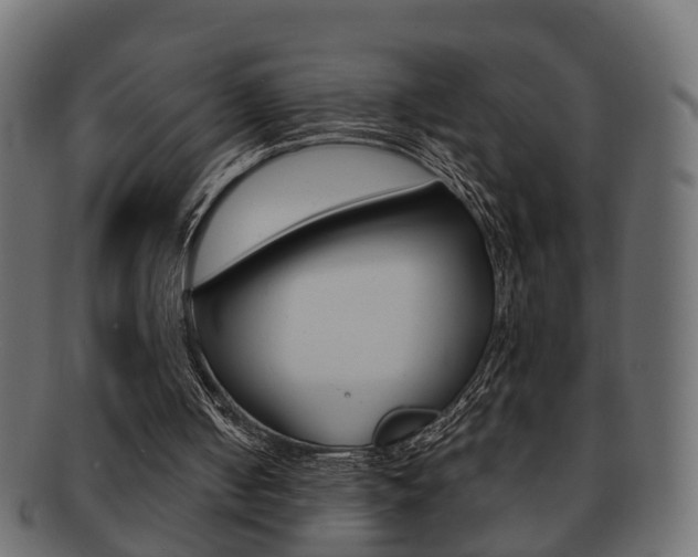 X0000092310050200709141039