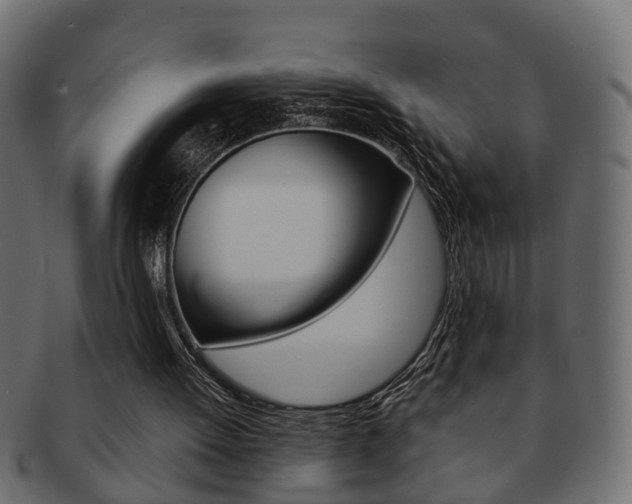 X0000092310052200709141039