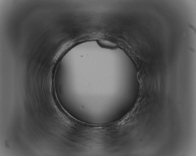 X0000092310054200709141039