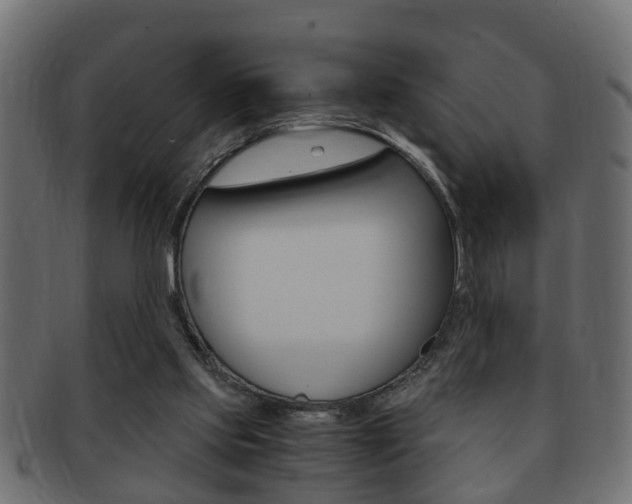 X0000092310061200709141039
