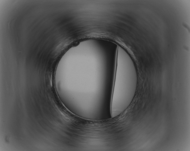 X0000092310062200709141039