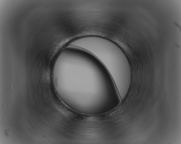 X0000092310064200709141039