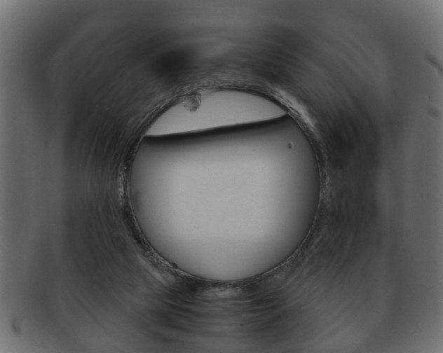 X0000092310065200709141039