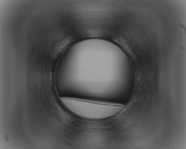 X0000092310066200709141039