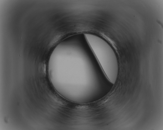 X0000092310067200709141039