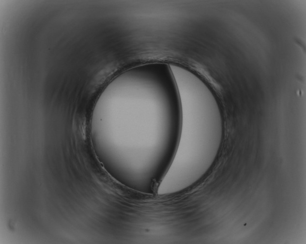 X0000092310068200709141039