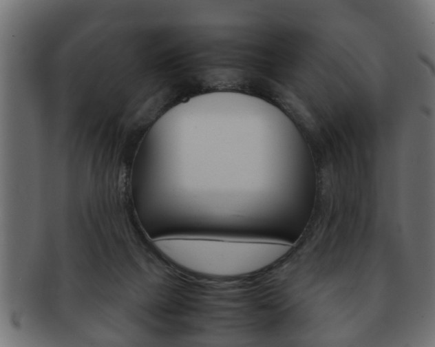 X0000092310073200709141039