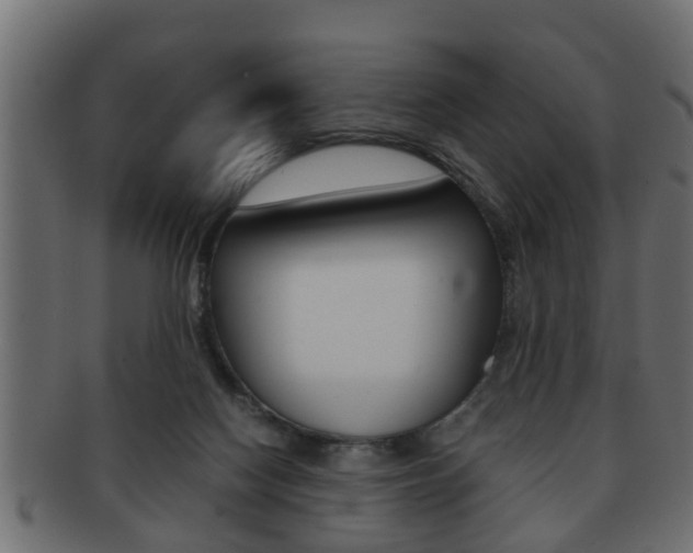 X0000092310074200709141039