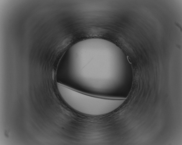 X0000092310076200709141039