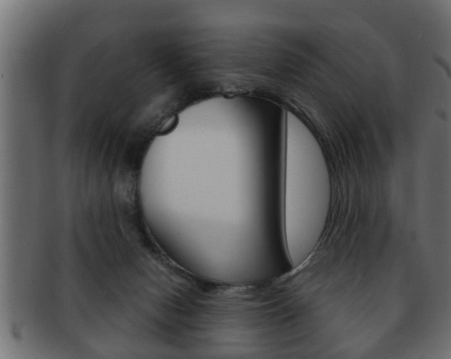 X0000092310078200709141040