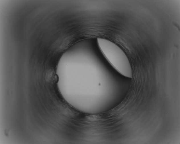X0000092310079200709141040
