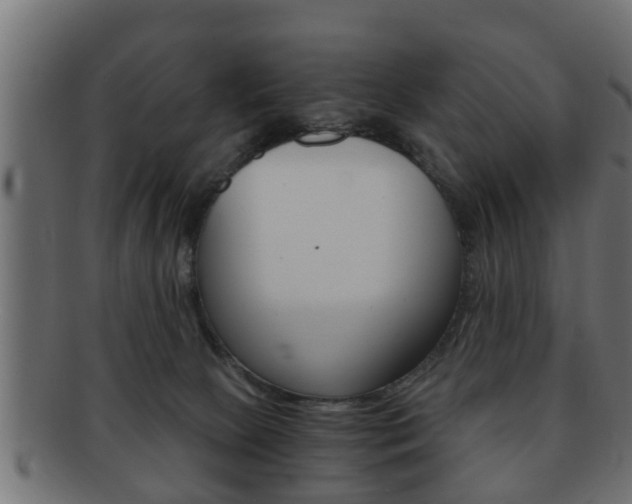 X0000092310081200709141040