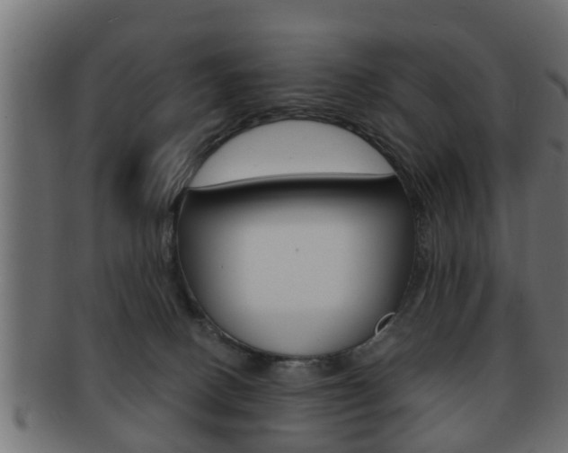 X0000092310082200709141040