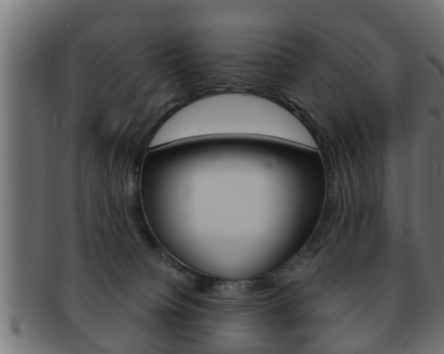 X0000092310084200709141040