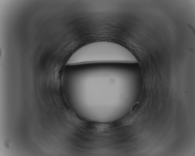 X0000092310085200709141040