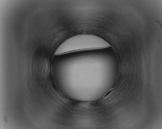 X0000092310086200709141040