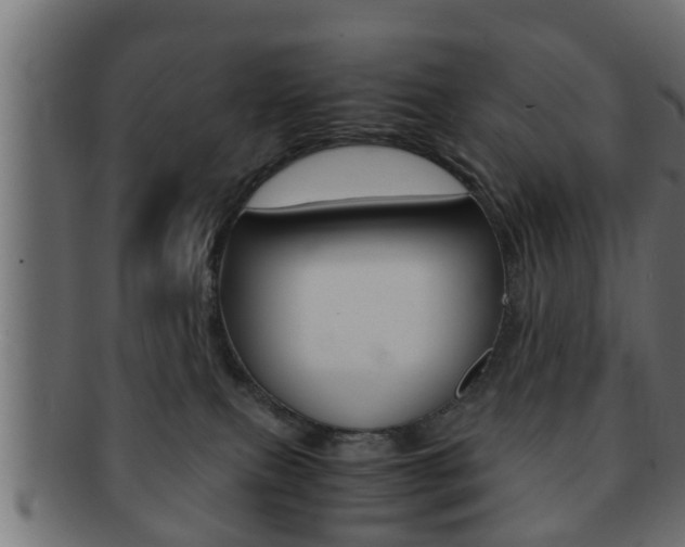 X0000092310087200709141040