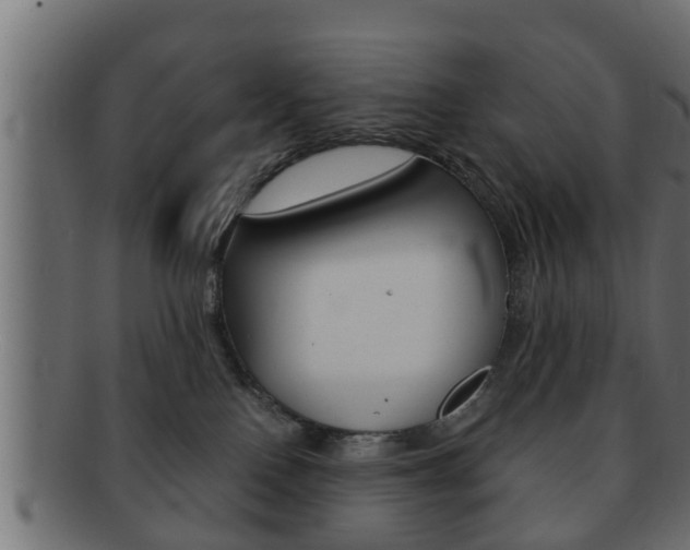 X0000092310090200709141040