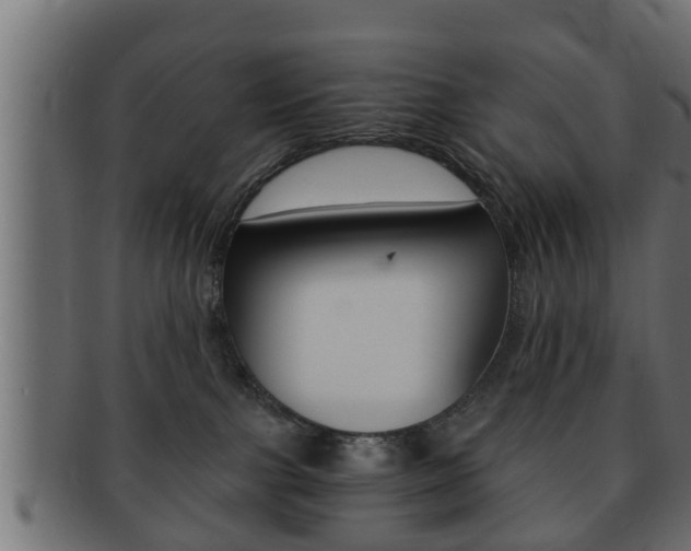 X0000092310091200709141040